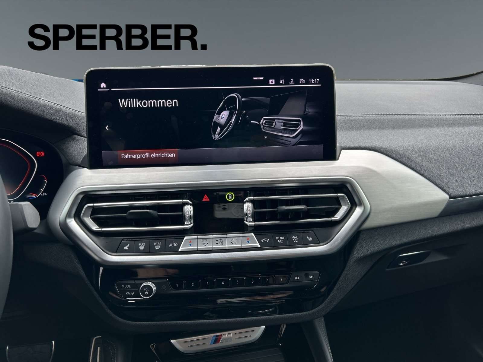 Fahrzeugbild eines BMW X4