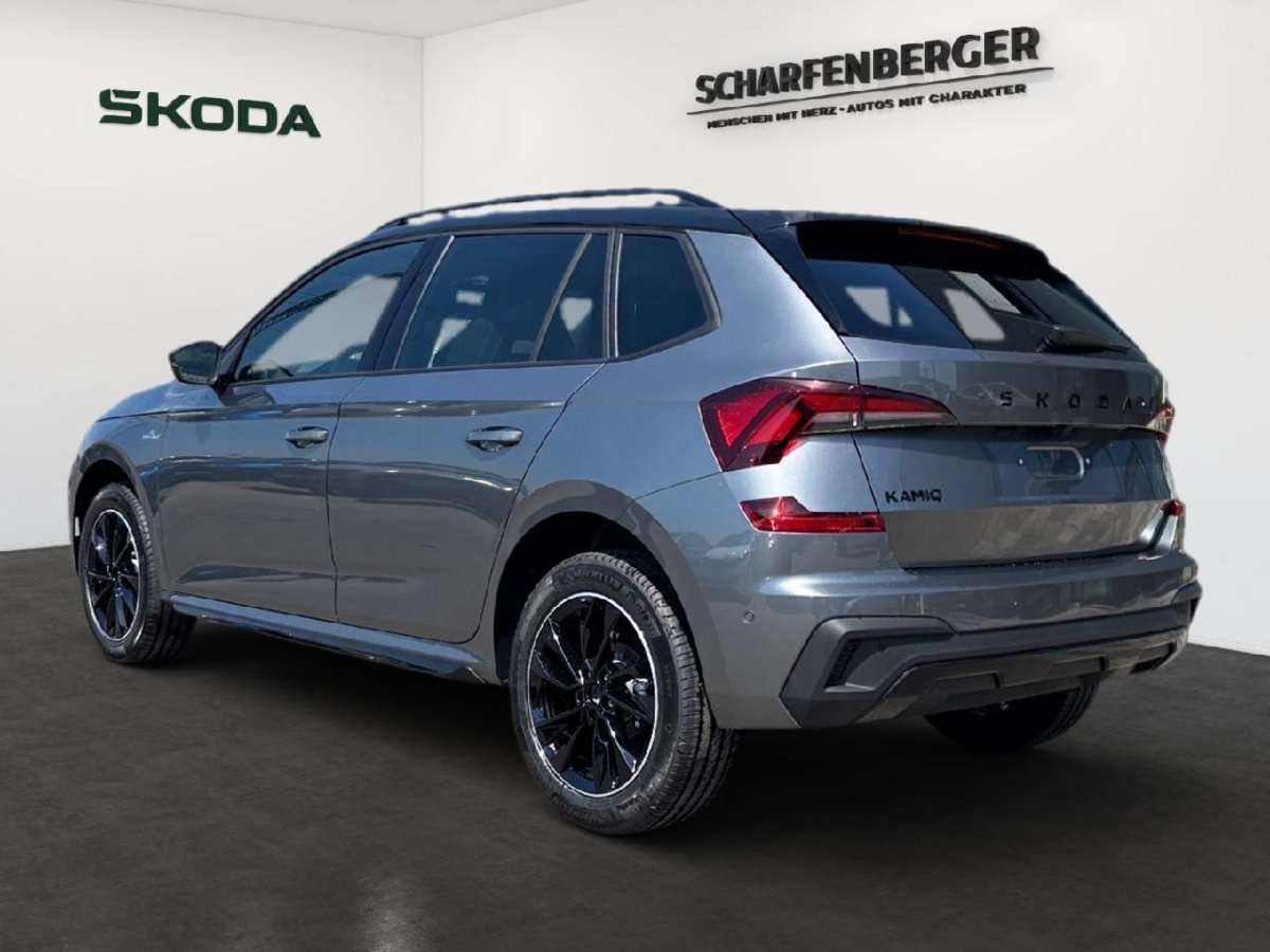 Fahrzeugbild eines Skoda Kamiq
