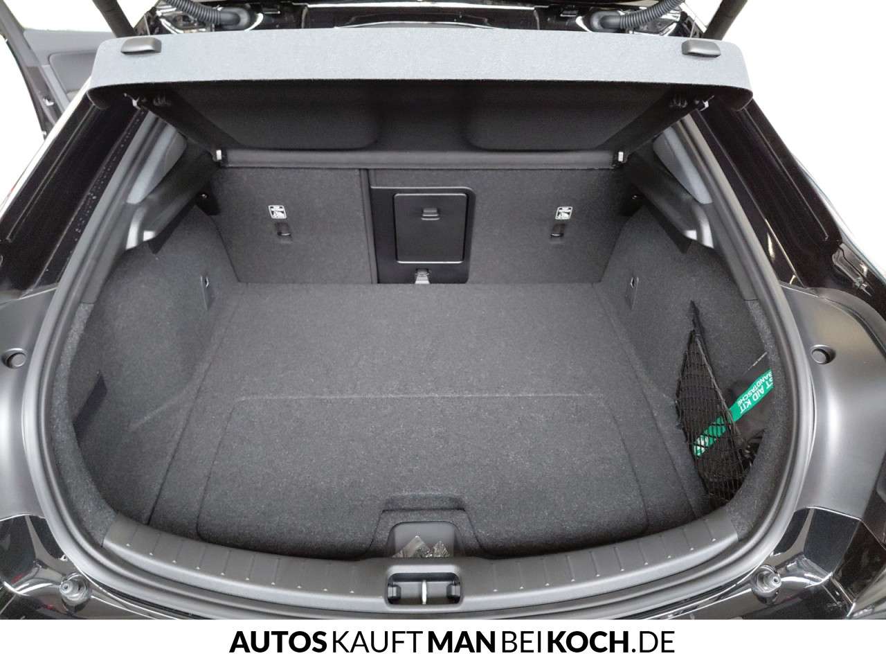 Fahrzeugbild eines Polestar 2