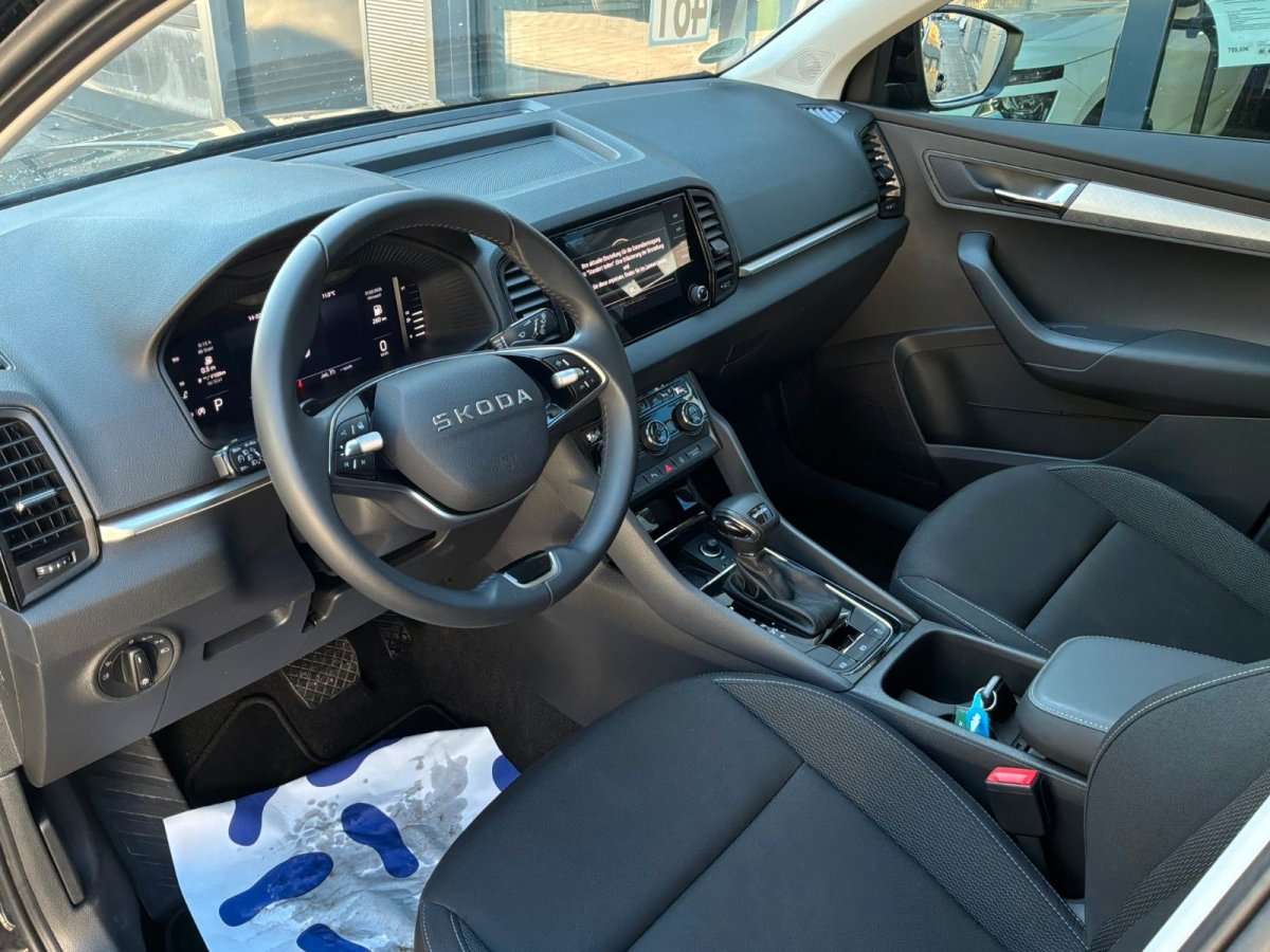 Fahrzeugbild eines Skoda Karoq
