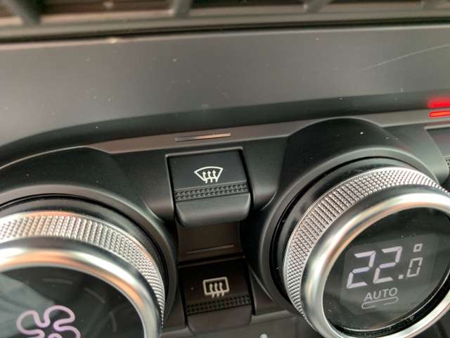 Fahrzeugbild eines Renault ZOE