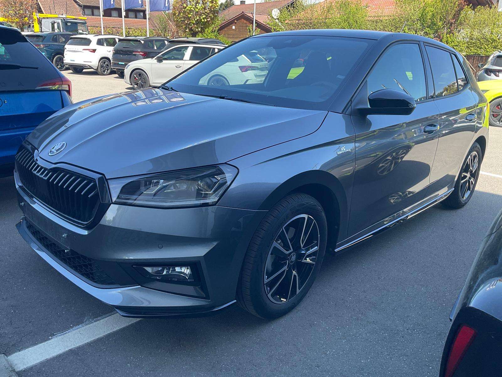 Fahrzeugbild eines Skoda Fabia