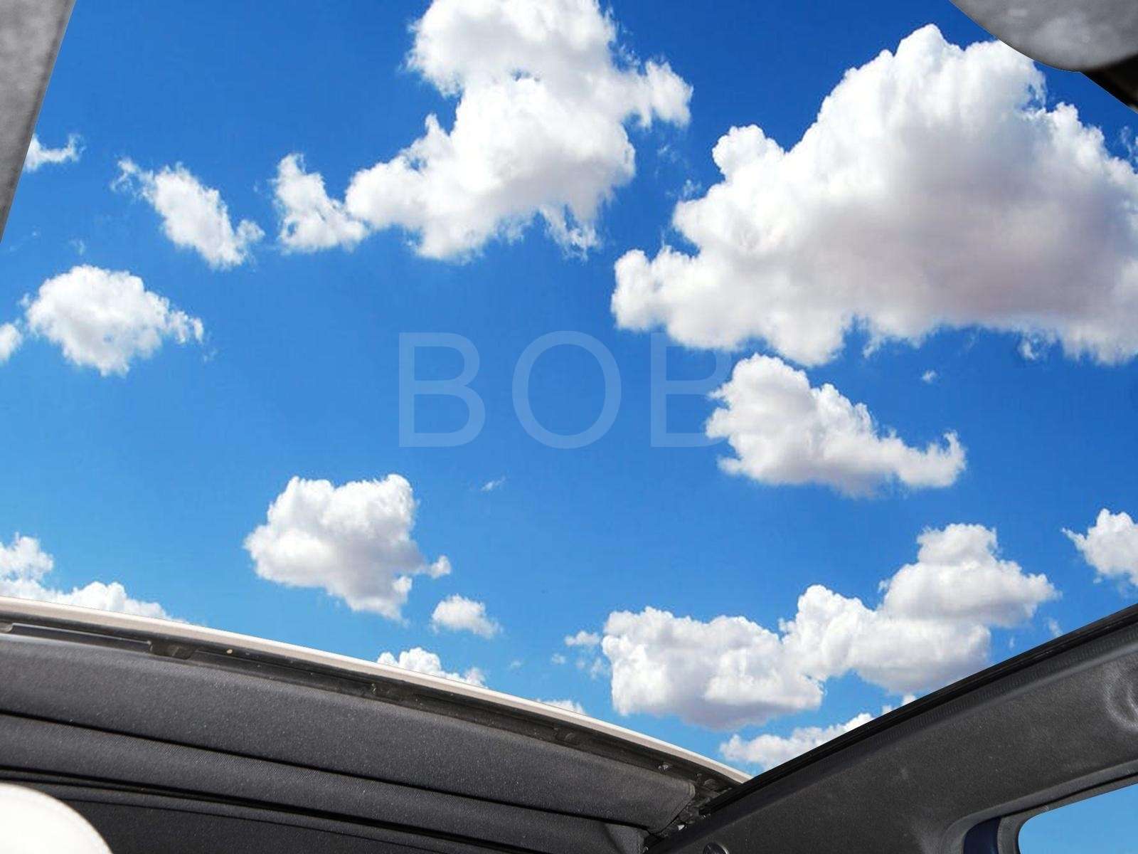 Fahrzeugbild eines Fiat 500