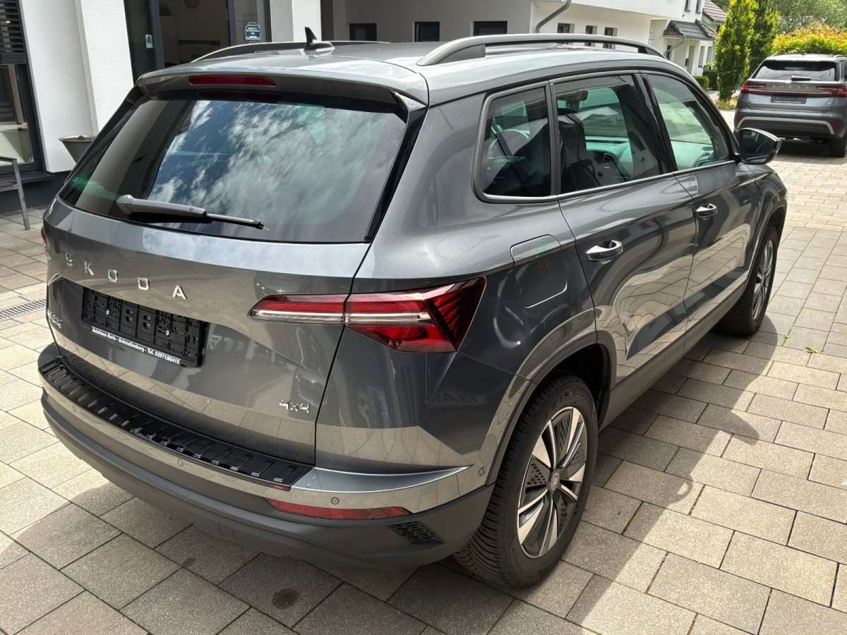 Fahrzeugbild eines Skoda Karoq