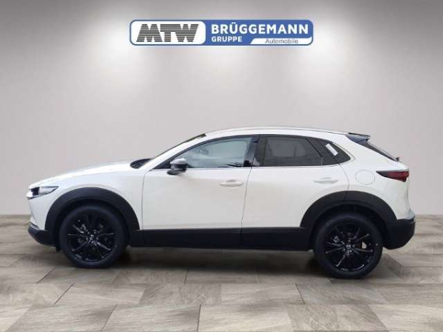 Fahrzeugbild eines Mazda CX-30
