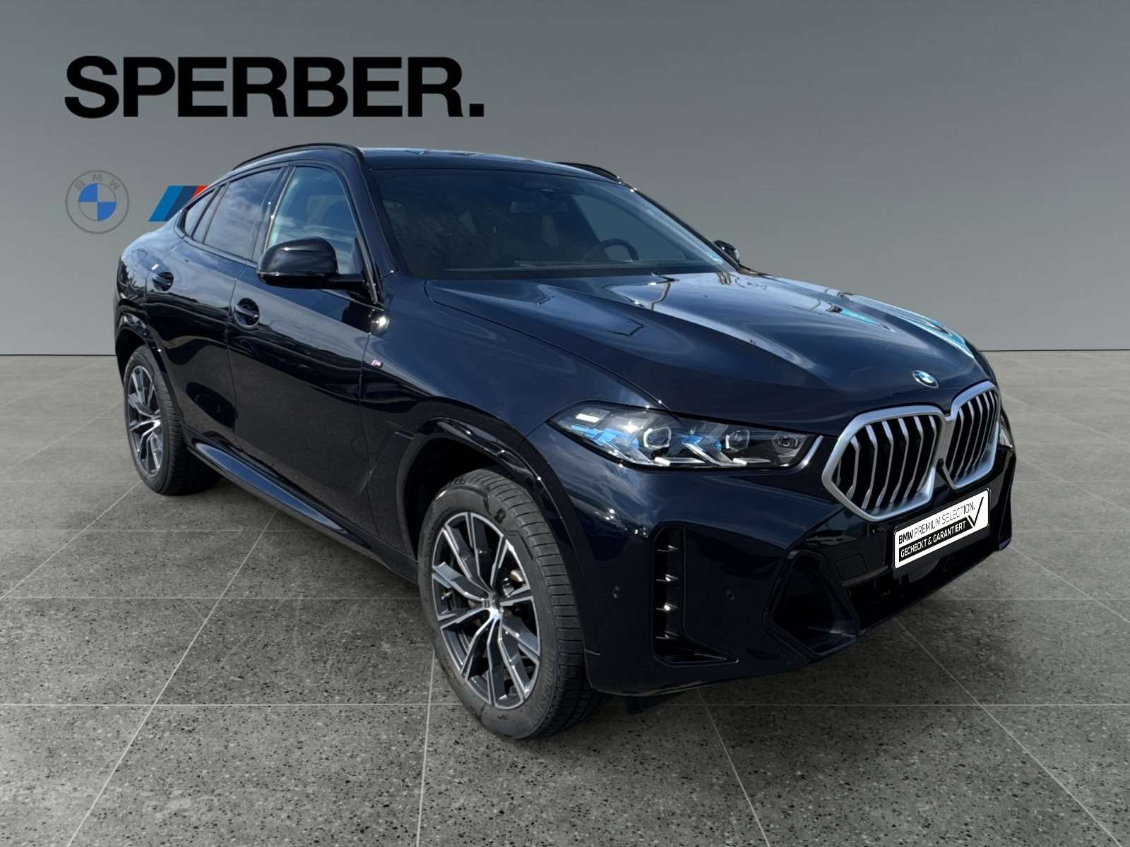 Fahrzeugbild eines BMW X6