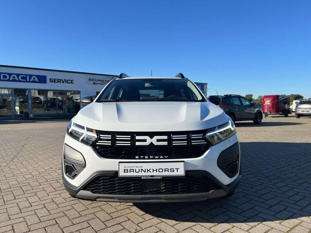 Fahrzeugbild eines Dacia Sandero