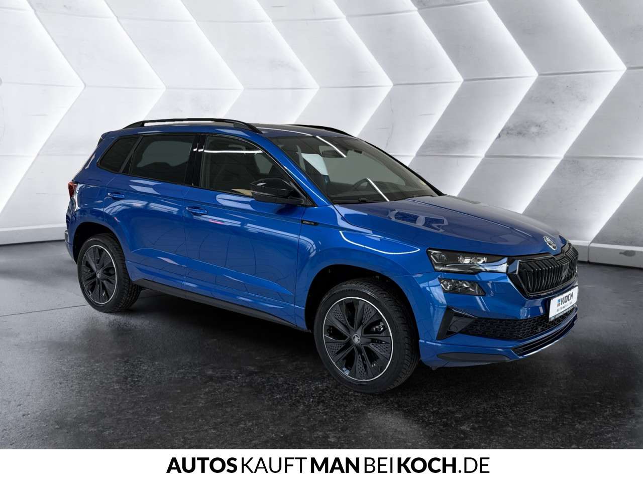 Fahrzeugbild eines Skoda Karoq