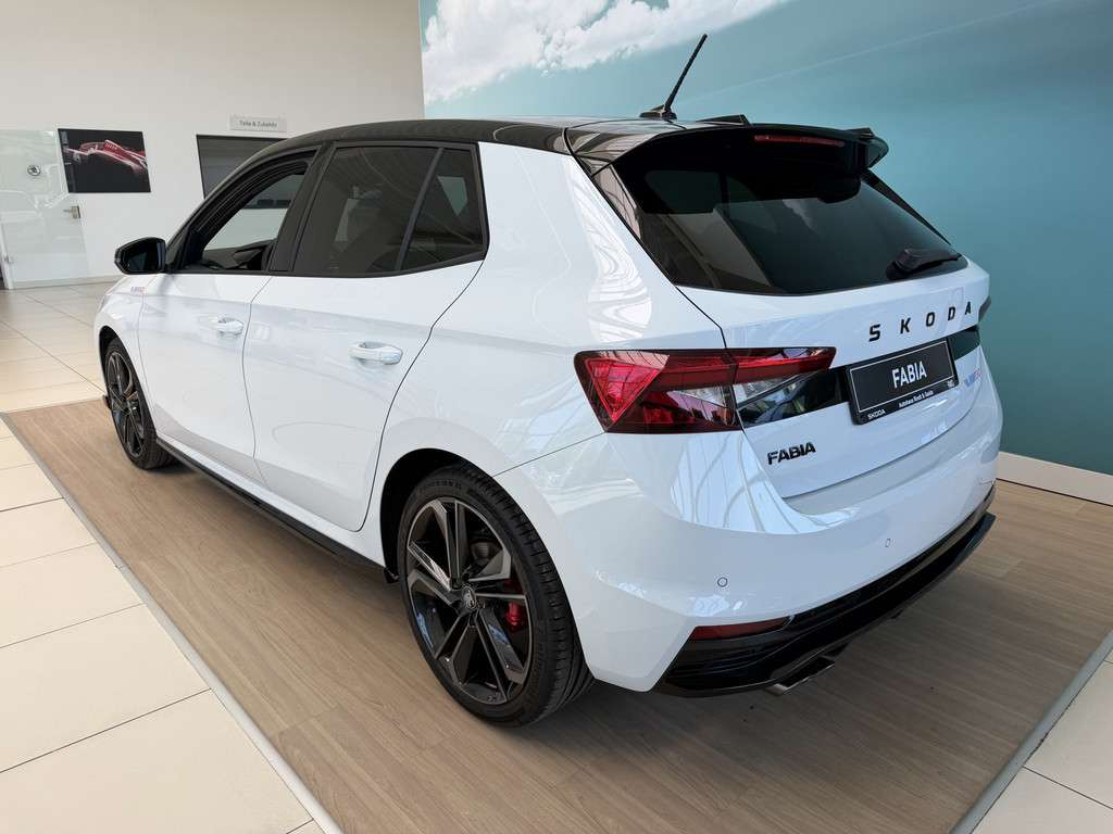 Fahrzeugbild eines Skoda Fabia