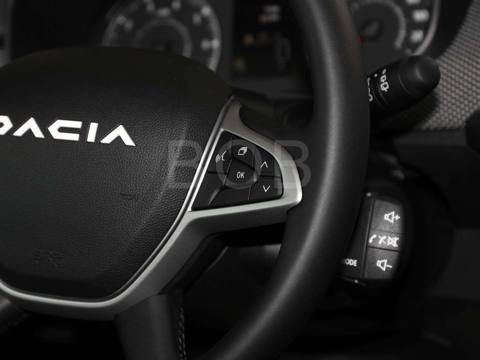 Fahrzeugbild eines Dacia Sandero