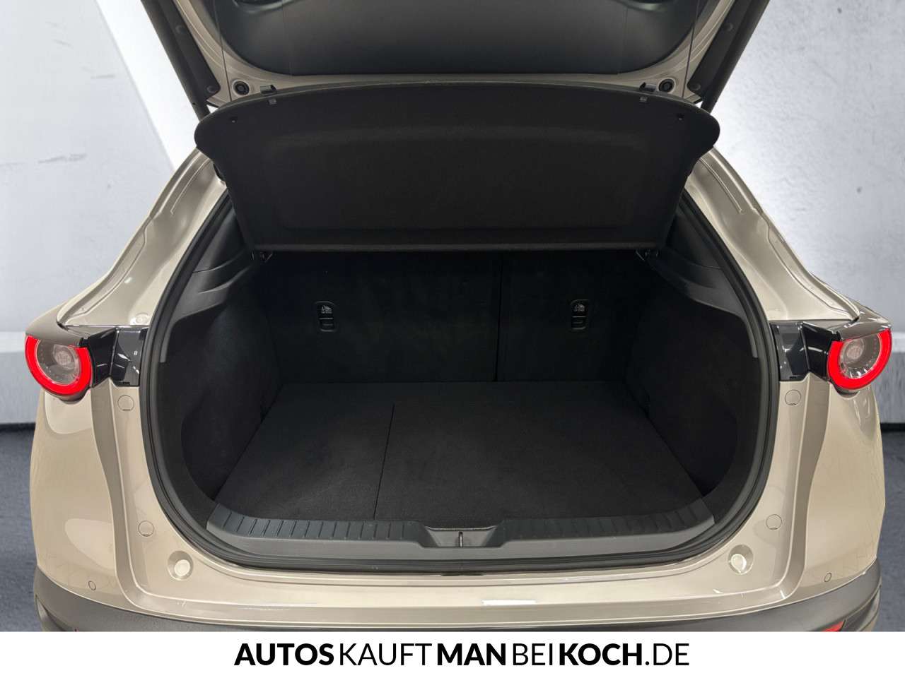 Fahrzeugbild eines Mazda CX-30