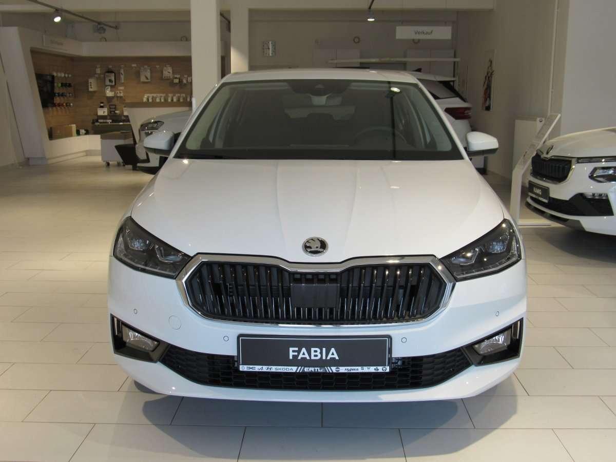 Fahrzeugbild eines Skoda Fabia