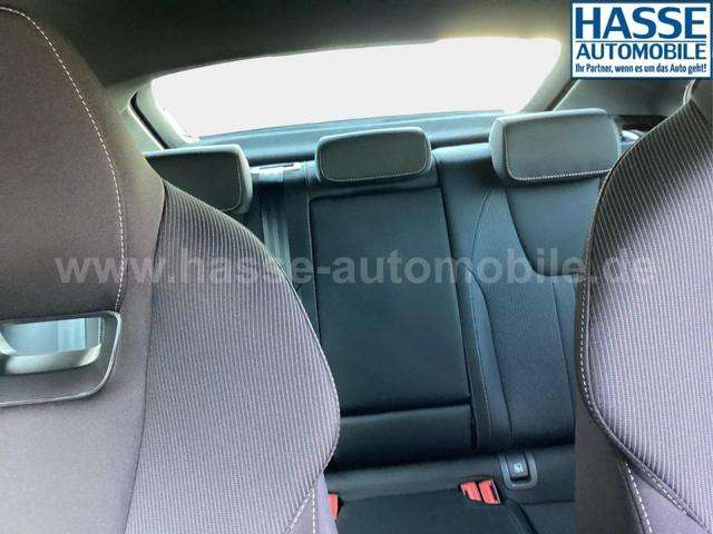 Fahrzeugbild eines Skoda Octavia