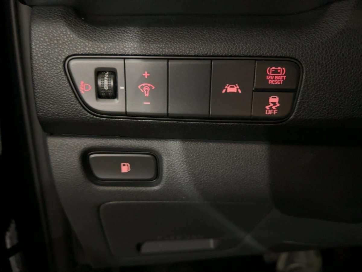 Fahrzeugbild eines Kia Niro