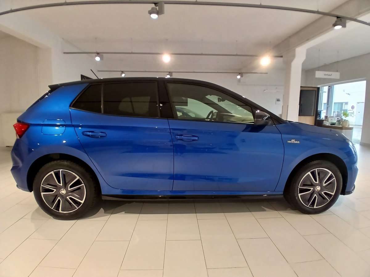 Fahrzeugbild eines Skoda Fabia