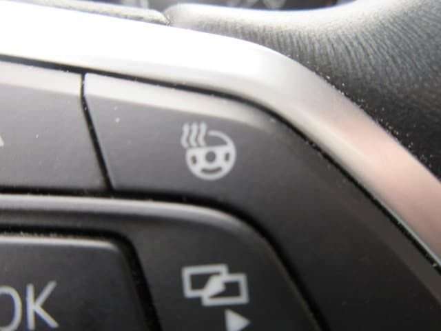 Fahrzeugbild eines Volkswagen Golf