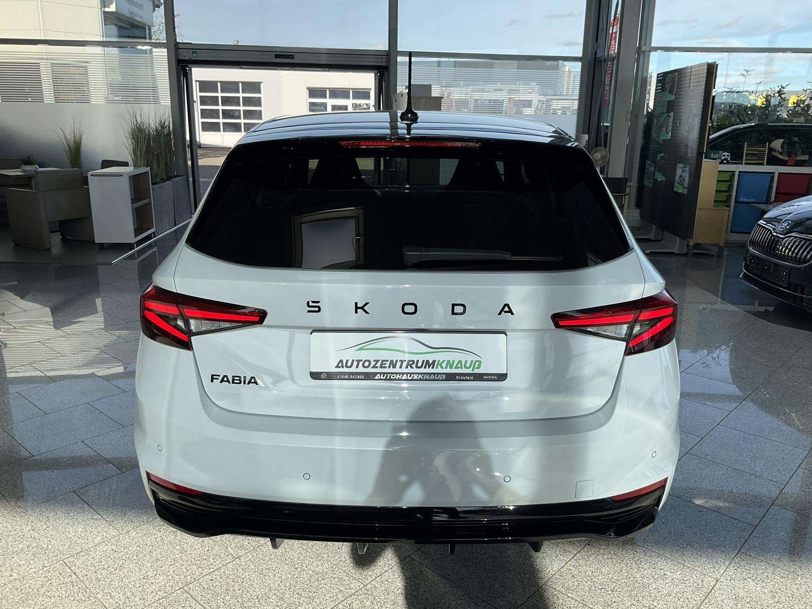 Fahrzeugbild eines Skoda Fabia