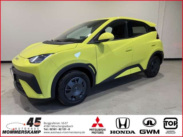 Fahrzeugbild eines BYD DOLPHIN