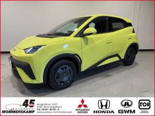 Schräge Frontansicht auf einen BYD DOLPHIN , freigestellt