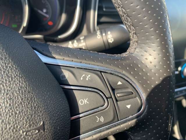 Fahrzeugbild eines Renault Koleos