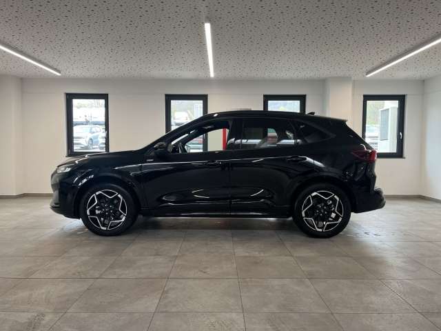 Fahrzeugbild eines Ford Kuga