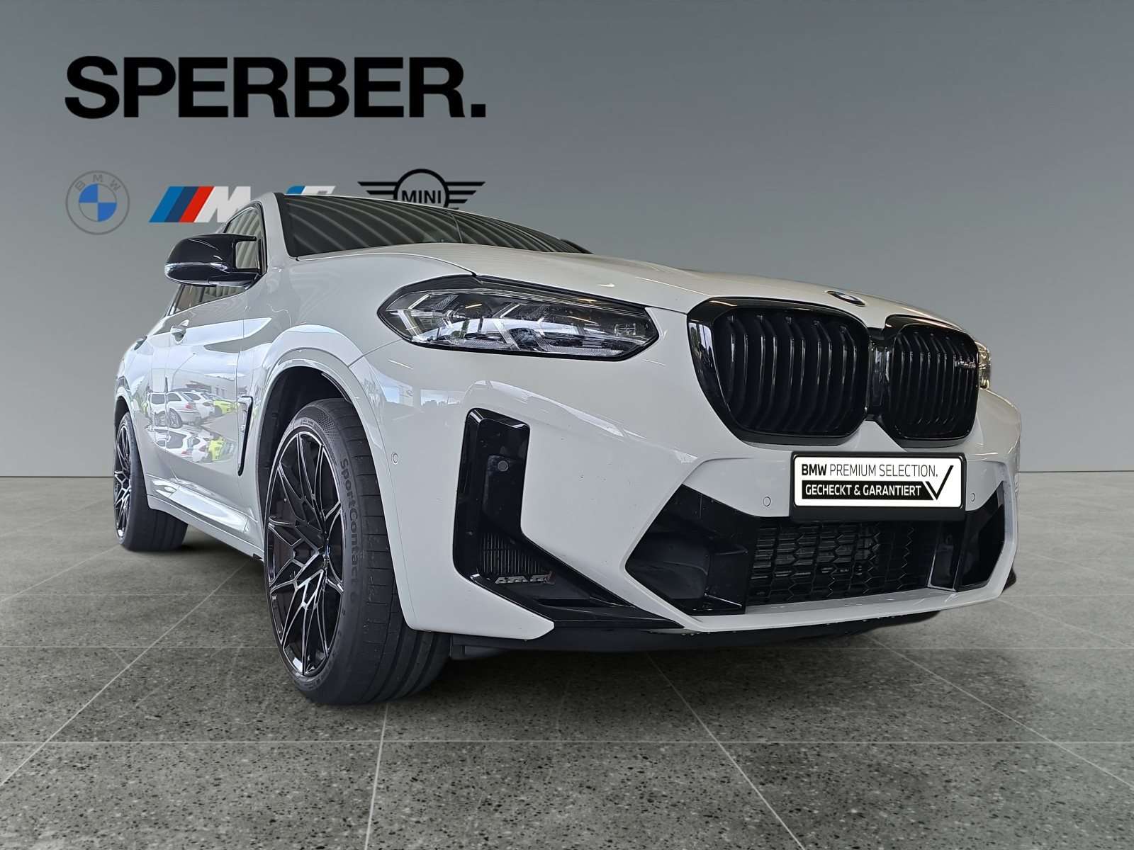 Fahrzeugbild eines BMW X4