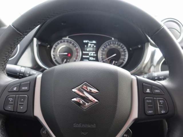 Fahrzeugbild eines Suzuki Vitara