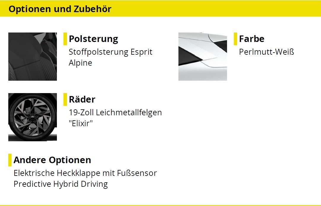 Fahrzeugbild eines Renault Symbioz