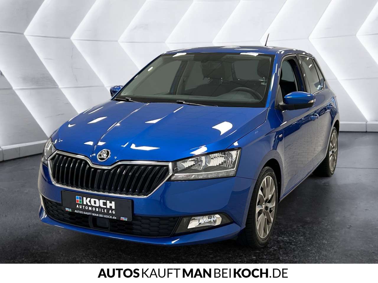 Fahrzeugbild eines Skoda Fabia