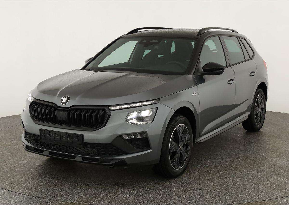 Fahrzeugbild eines Skoda Kamiq