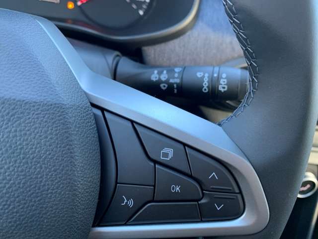 Fahrzeugbild eines Dacia Jogger
