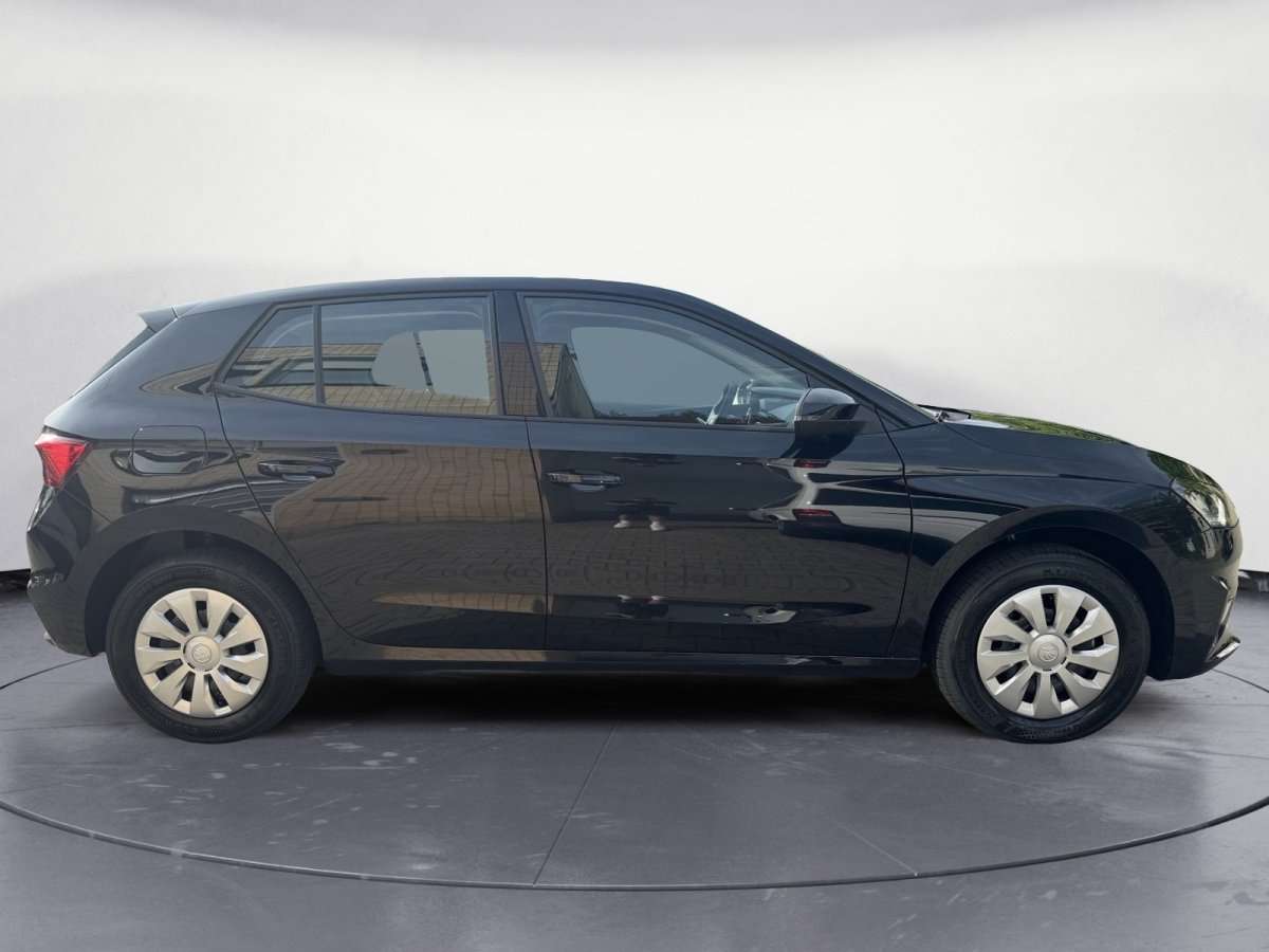 Fahrzeugbild eines Skoda Fabia