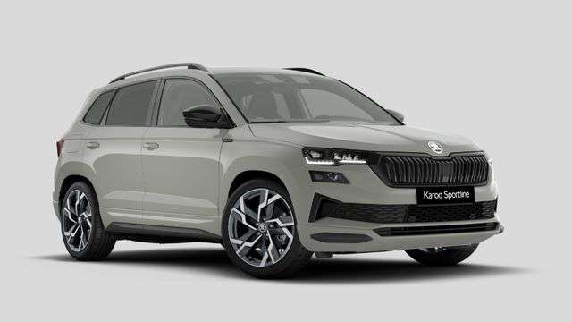 Fahrzeugbild eines Skoda Karoq