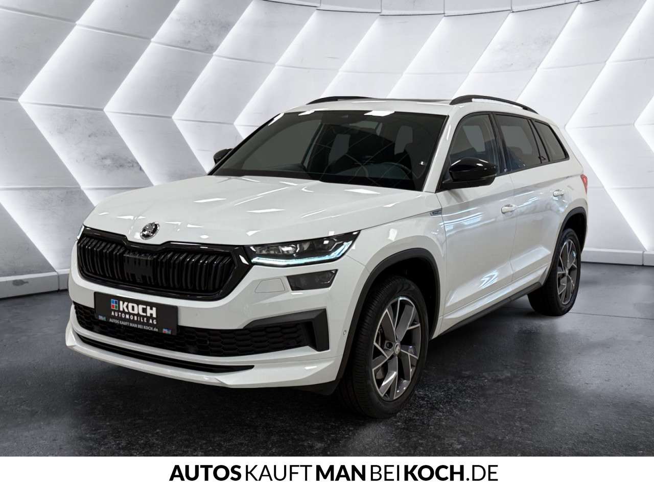 Fahrzeugbild eines Skoda Kodiaq