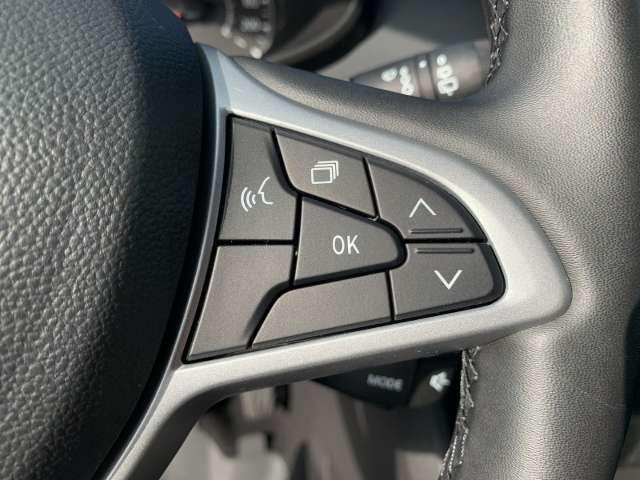 Fahrzeugbild eines Dacia Jogger