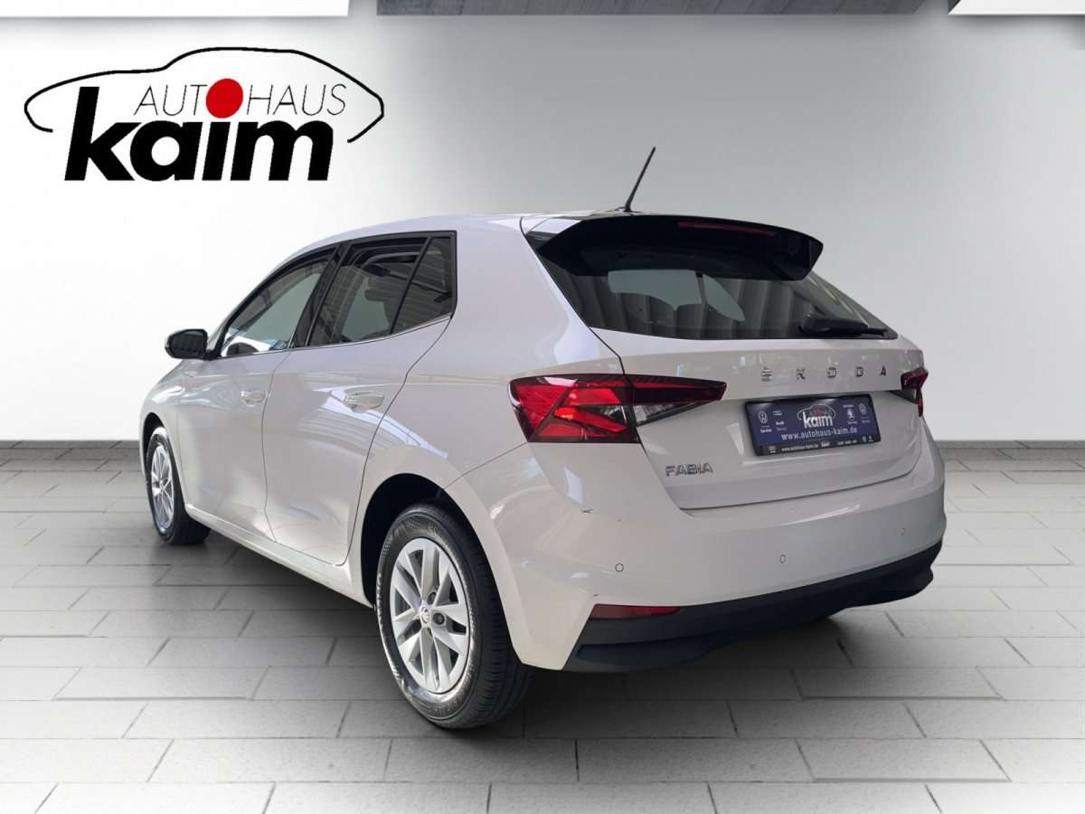 Fahrzeugbild eines Skoda Fabia