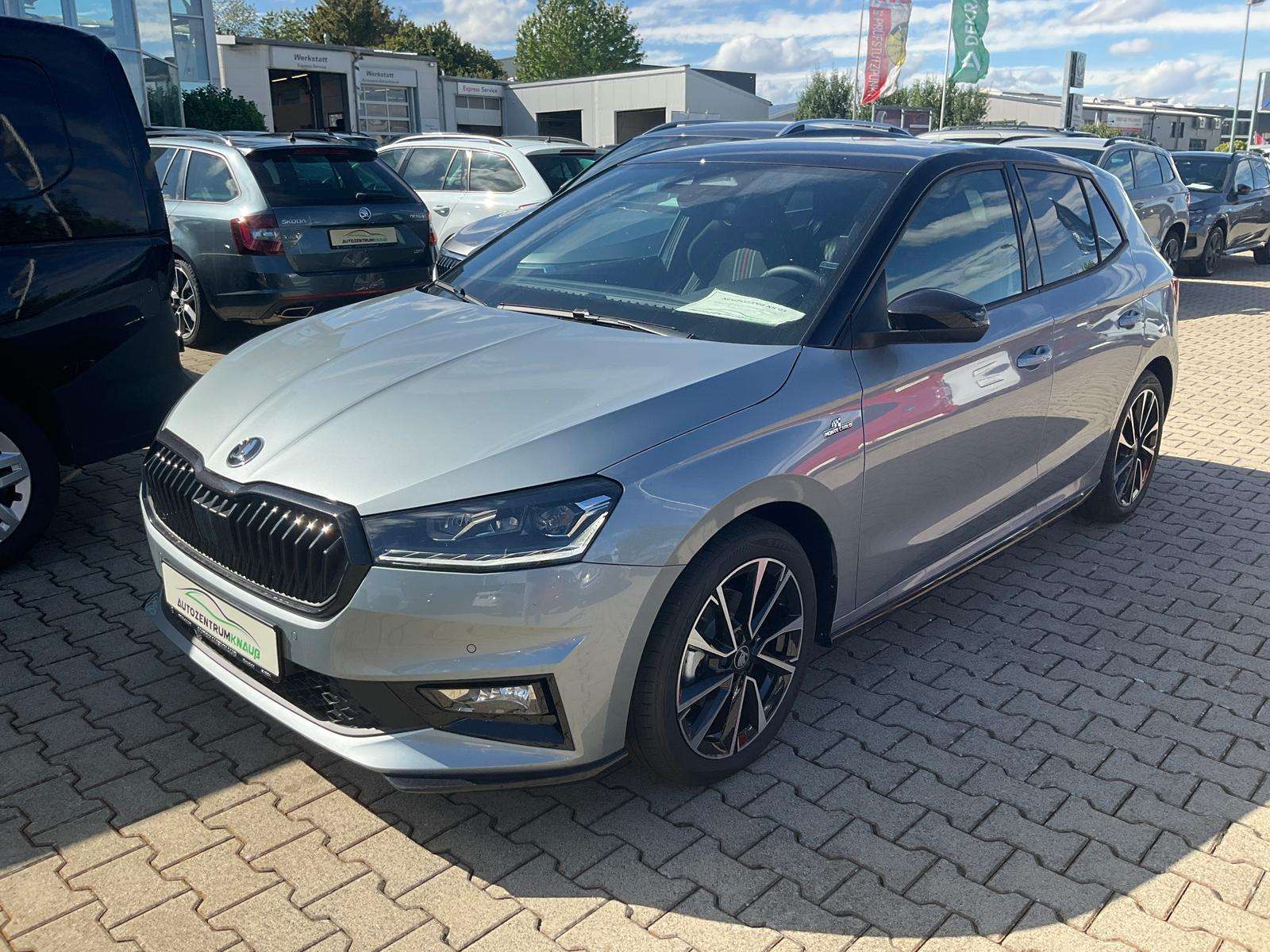 Fahrzeugbild eines Skoda Fabia