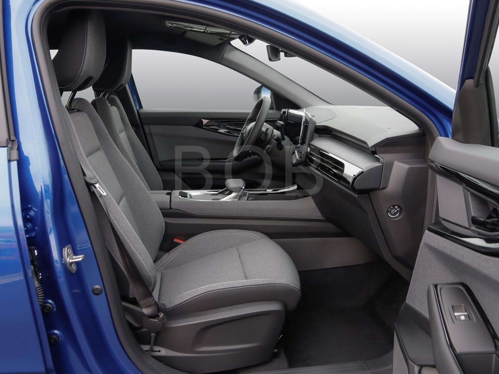 Fahrzeugbild eines Renault Austral