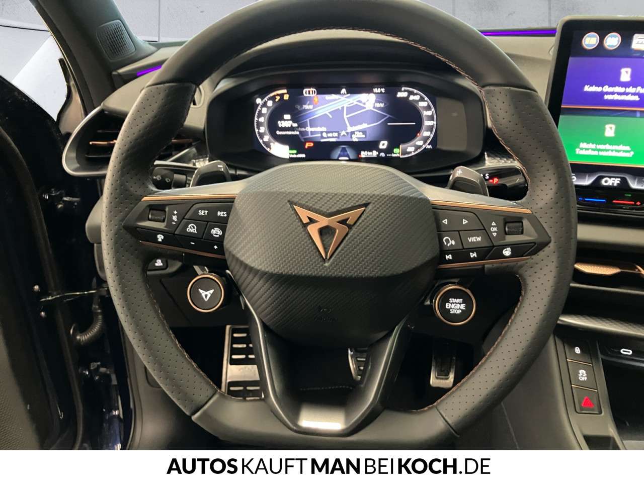 Fahrzeugbild eines CUPRA Terramar