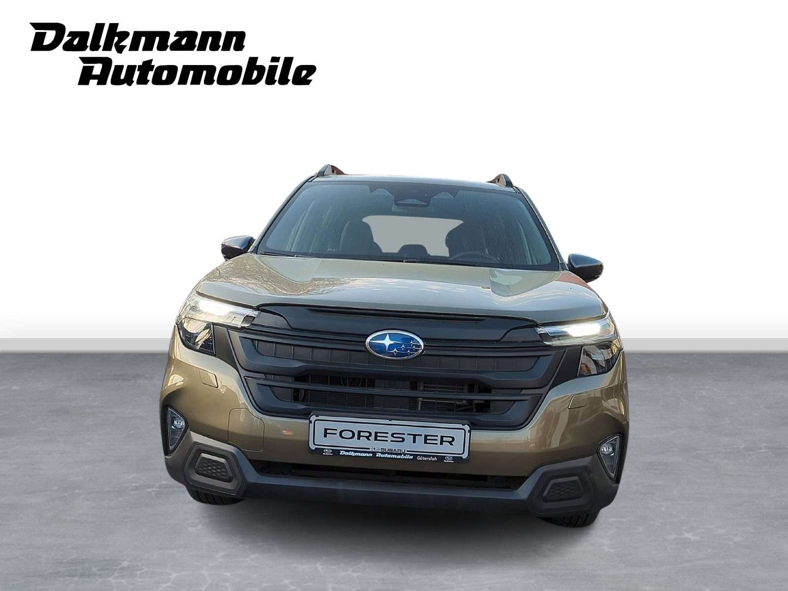 Fahrzeugbild eines Subaru Forester