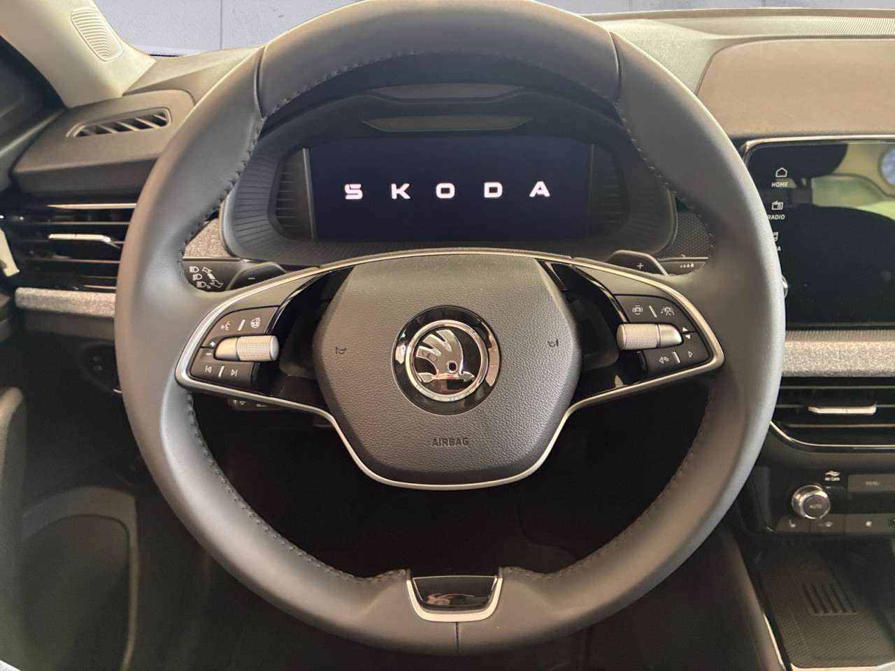 Fahrzeugbild eines Skoda Scala