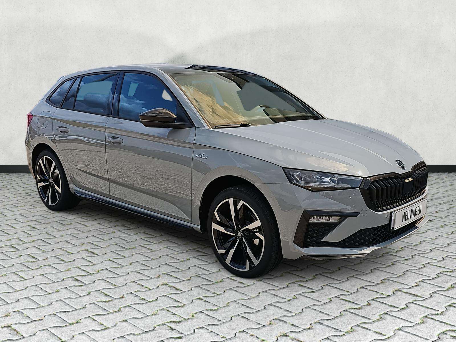Fahrzeugbild eines Skoda Scala