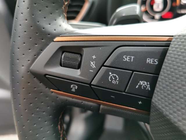 Fahrzeugbild eines CUPRA Formentor