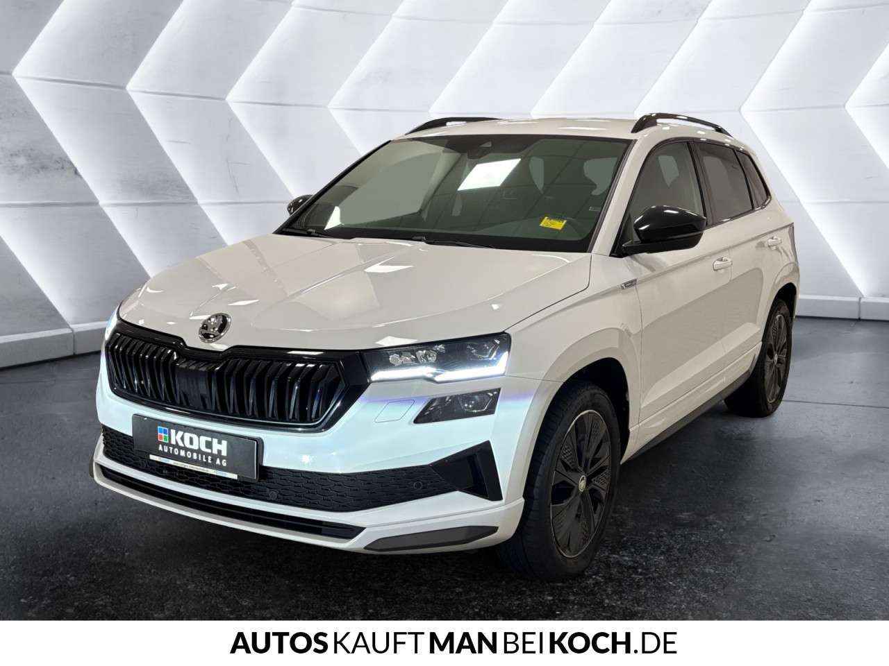 Fahrzeugbild eines Skoda Karoq