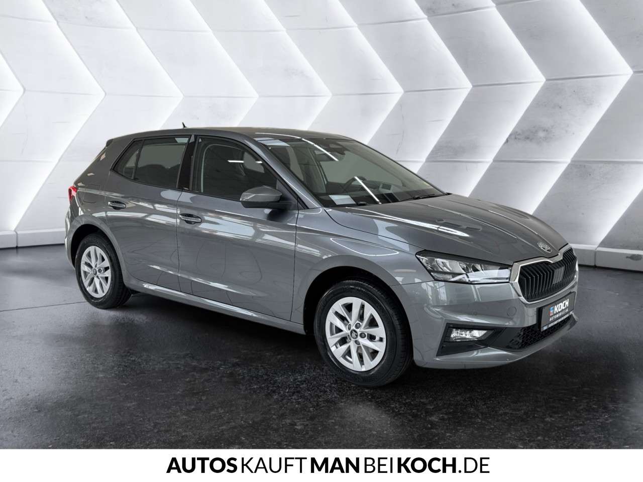Fahrzeugbild eines Skoda Fabia