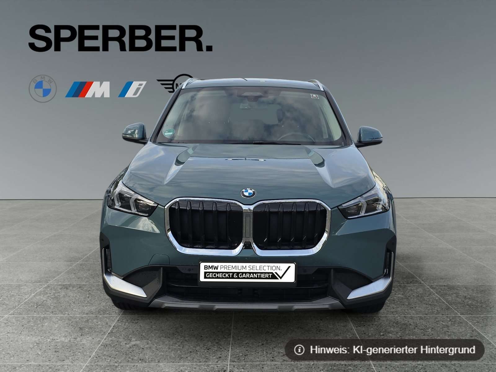 Fahrzeugbild eines BMW X1