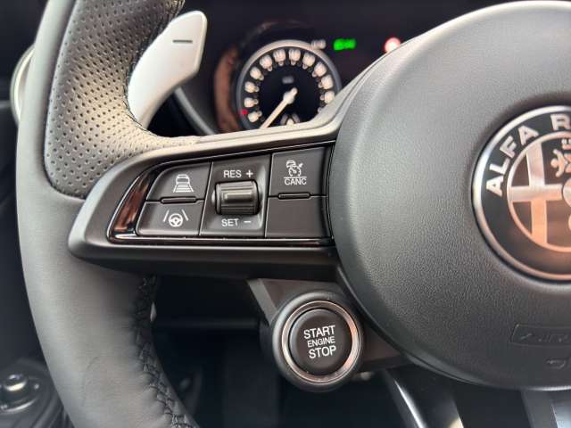 Fahrzeugbild eines Alfa Romeo Giulia