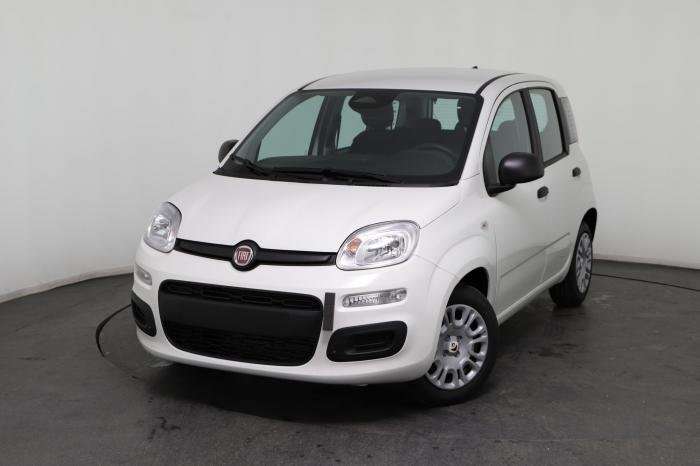Fahrzeugbild eines Fiat Panda