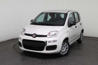 Schräge Frontansicht auf einen Fiat Panda , freigestellt