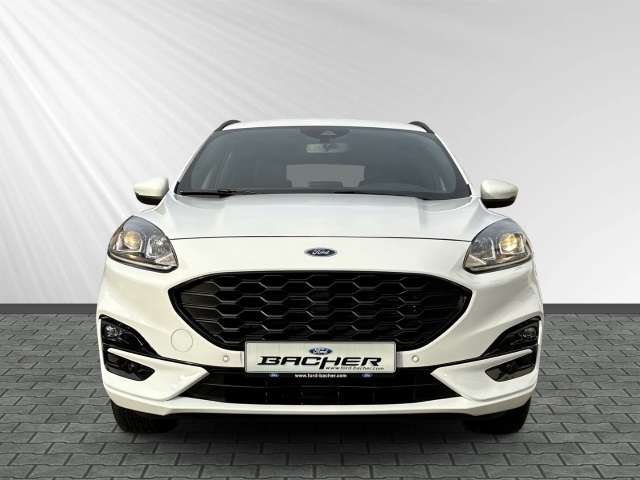 Fahrzeugbild eines Ford Kuga